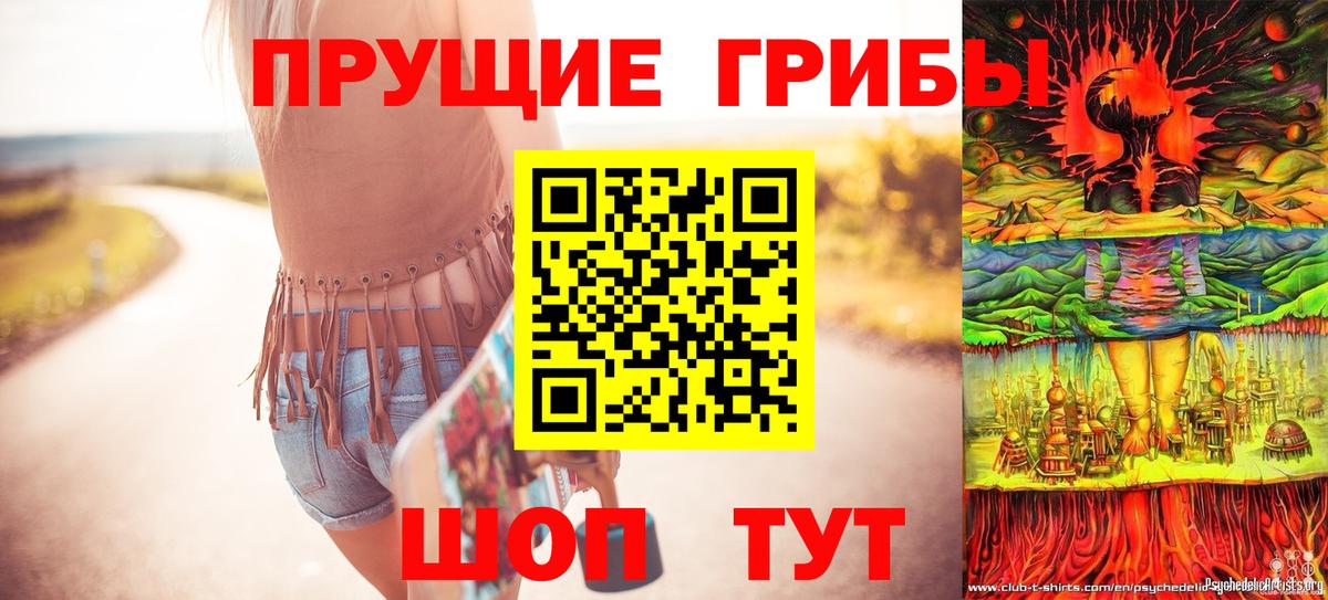 Галлюциногенные грибы Psilocybine cubensis Алапаевск