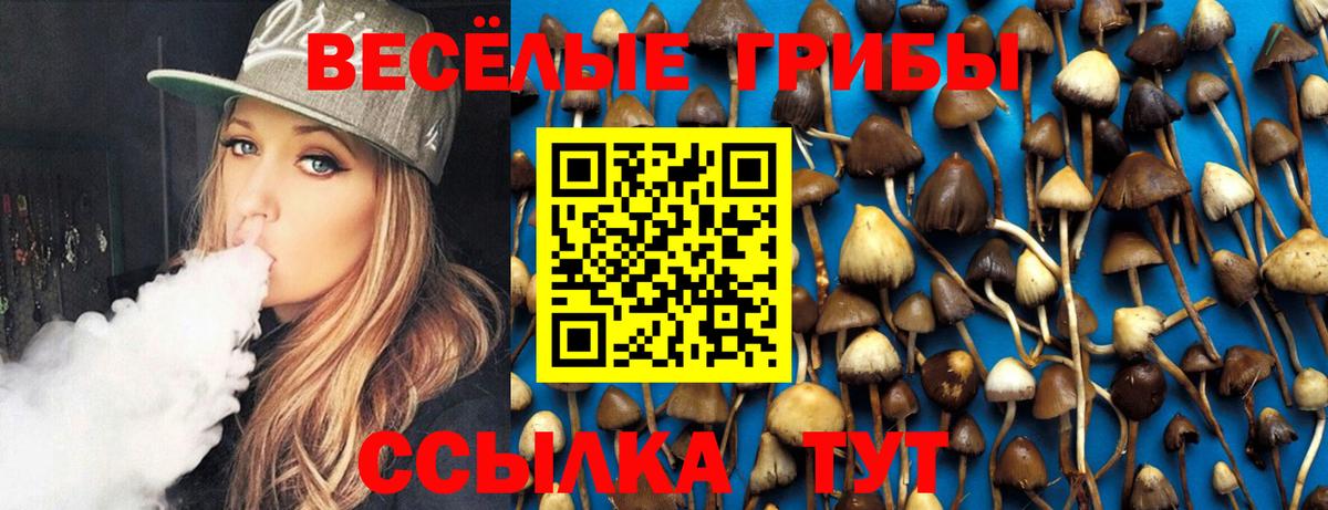 Галлюциногенные грибы Psilocybe  Вход с VPN  Алапаевск 
